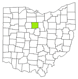 crawford county ohio fire, fire departments in crawford county, crawford county oh fire stations, volunteer fire department, crawford county ohio, crawford fire station numbers, crawford county fire jobs, crawford county live dispatch, crawford county fire departments, crawford county ems, crawford county ambulance