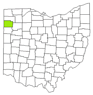 paulding county ohio fire, fire departments in paulding county, paulding county oh fire stations, volunteer fire department, paulding county ohio, paulding fire station numbers, paulding county fire jobs, paulding county live dispatch, paulding county fire departments, paulding county ems, paulding county ambulance