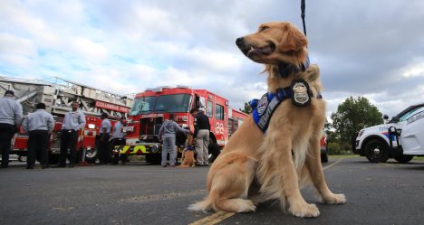 photo by Columbus Division of Fire