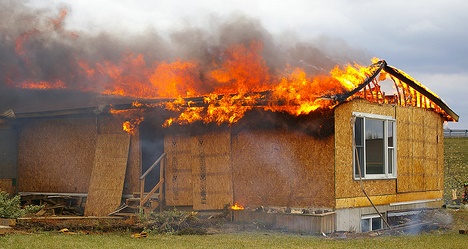 photo by Joe Kitchen