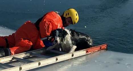 photo by Harrison Fire Dept