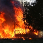 photo by Chuck Grimmett