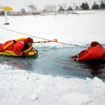 photo by Joe Kitchen